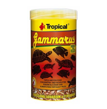 Gammarus frystorkad sötvattensräka, Tropical