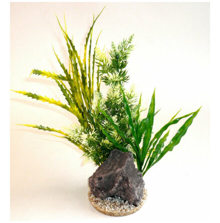 Aquaplant Rock XL 30cm, Sydeco