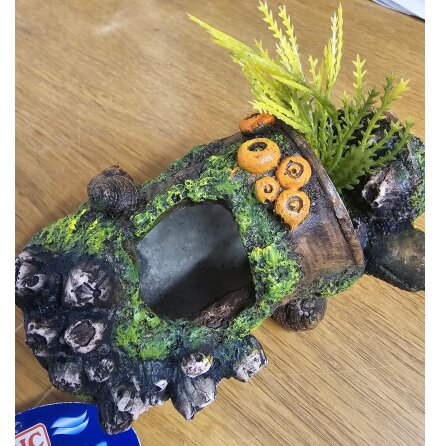 Akvarieinredning burk med v�xt 11,5x7,5x8 cm