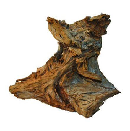Mangroverot S 10-20cm